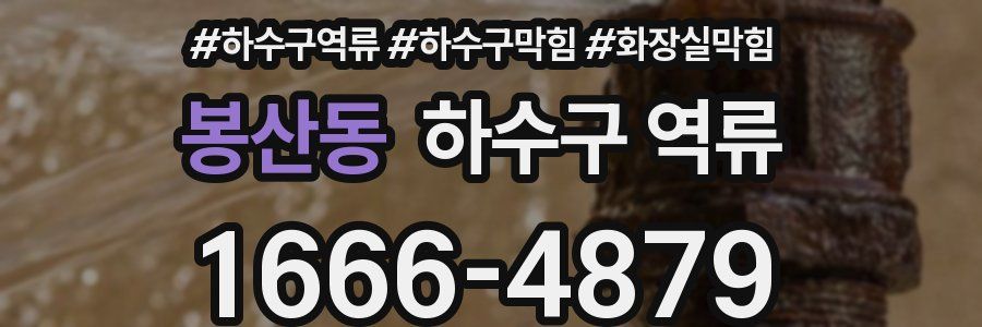 봉산동 하수구 역류