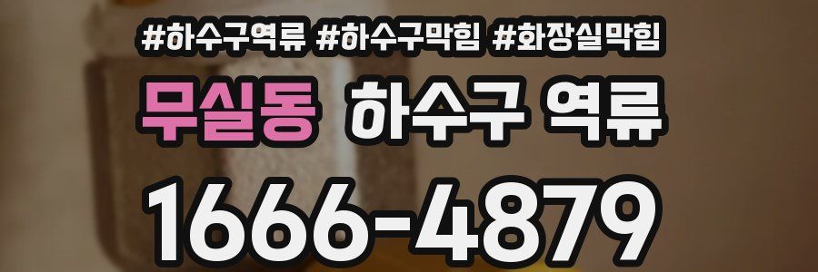 무실동 하수구 역류