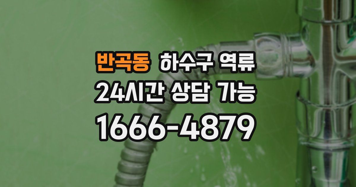 반곡동 하수구 역류