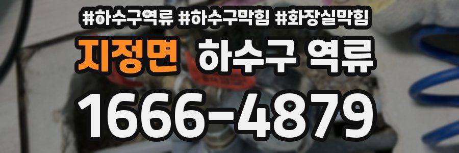 지정면 하수구 역류