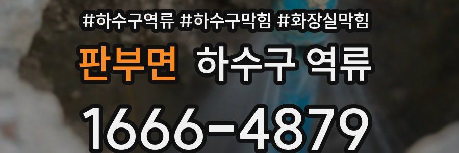 판부면 하수구 역류