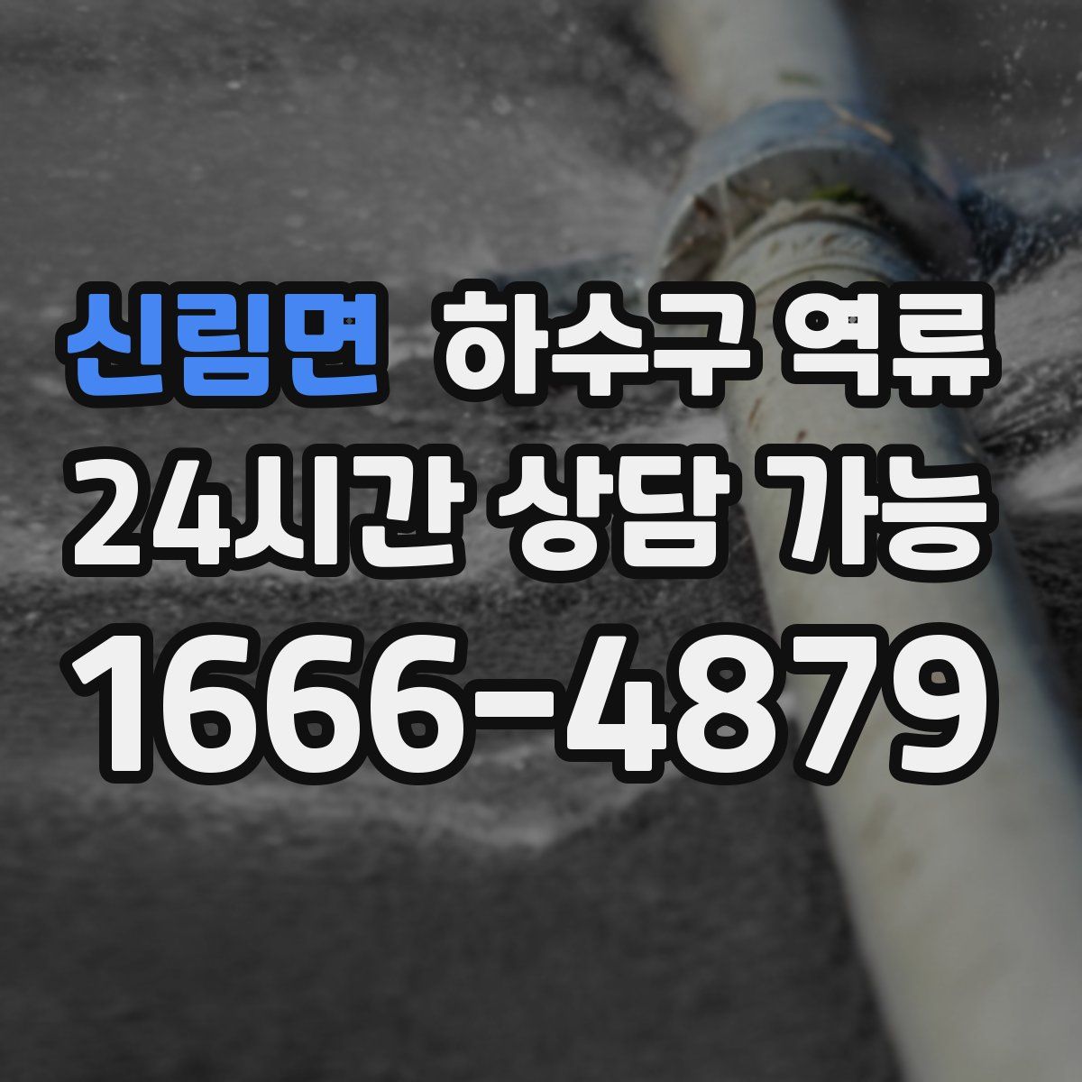 신림면 하수구 역류