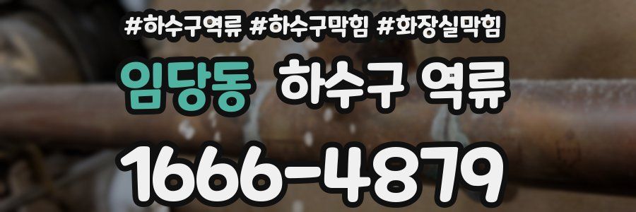 임당동 하수구 역류