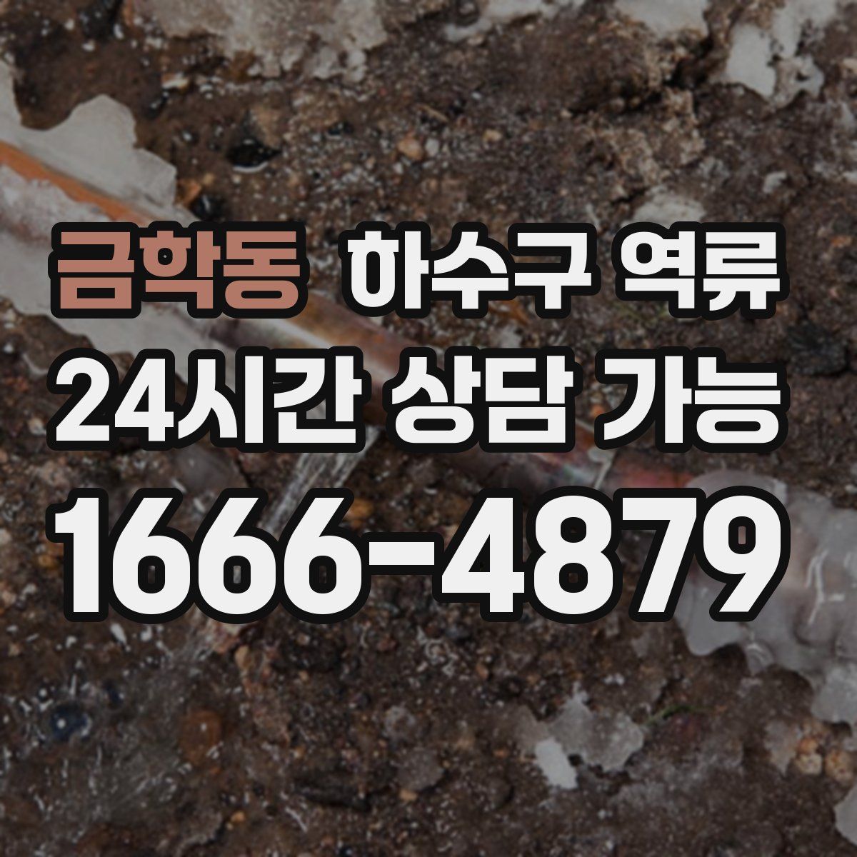 금학동 하수구 역류