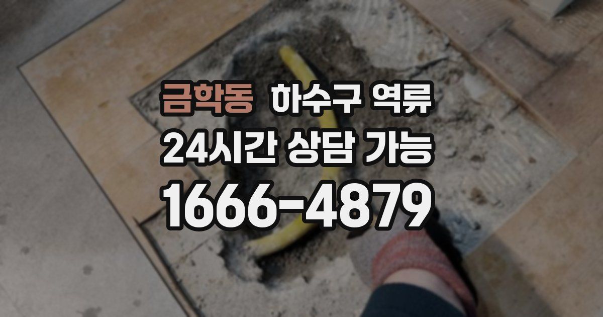 금학동 하수구 역류