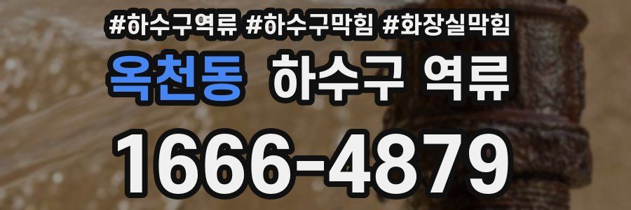 옥천동 하수구 역류