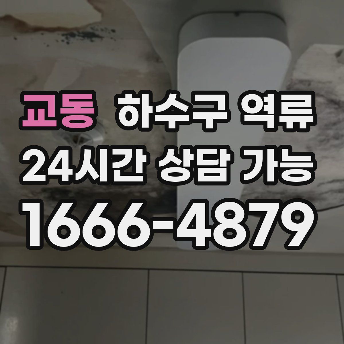 교동 하수구 역류