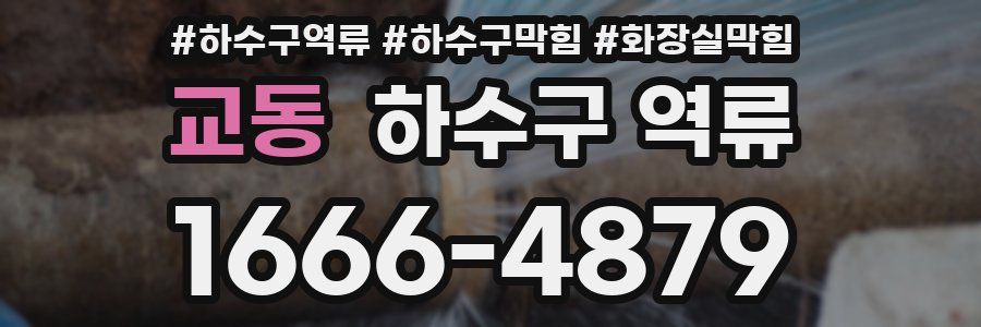 교동 하수구 역류