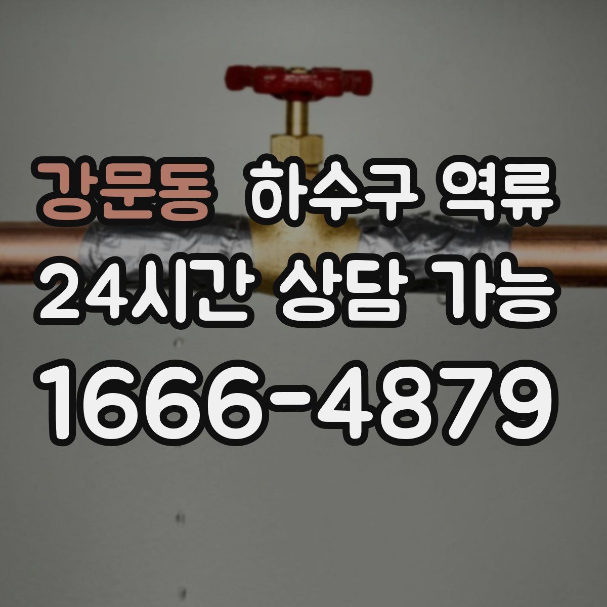 강문동 하수구 역류