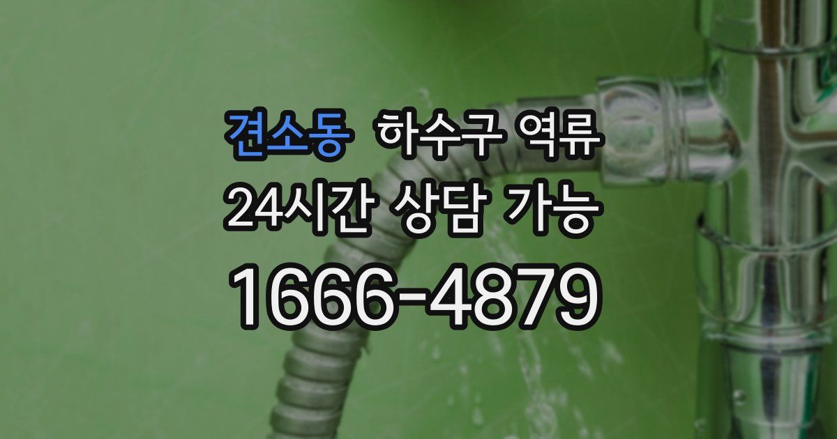 견소동 하수구 역류