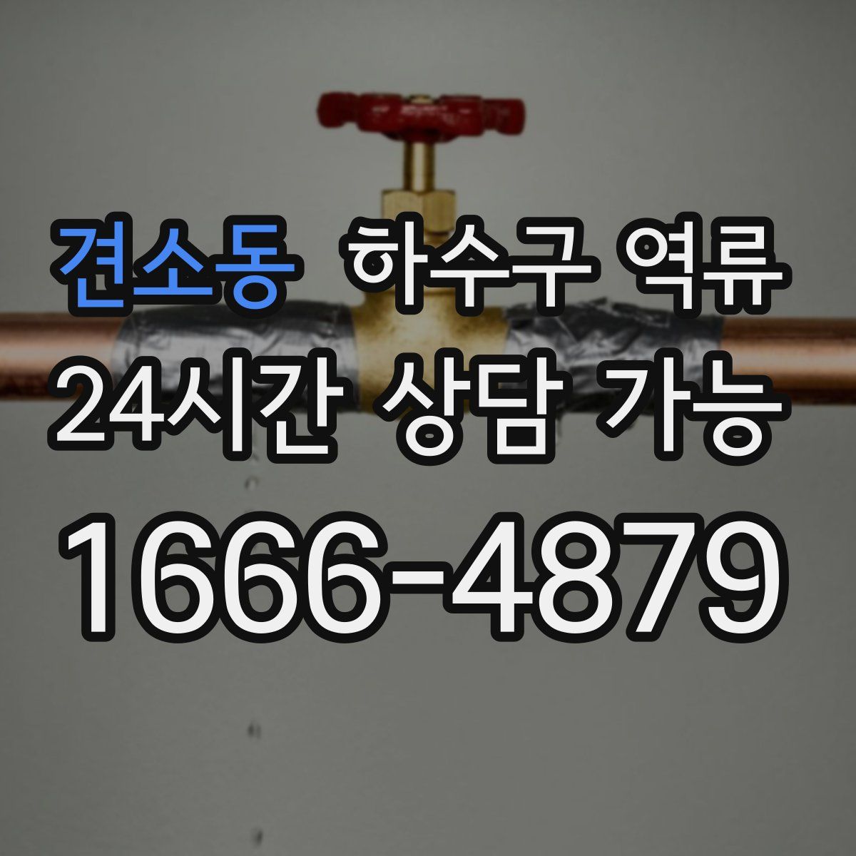 견소동 하수구 역류