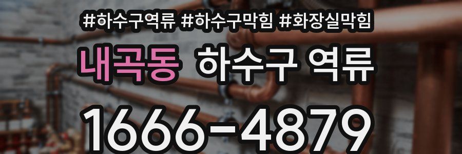 내곡동 하수구 역류