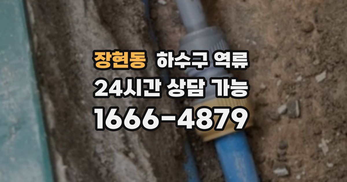 장현동 하수구 역류