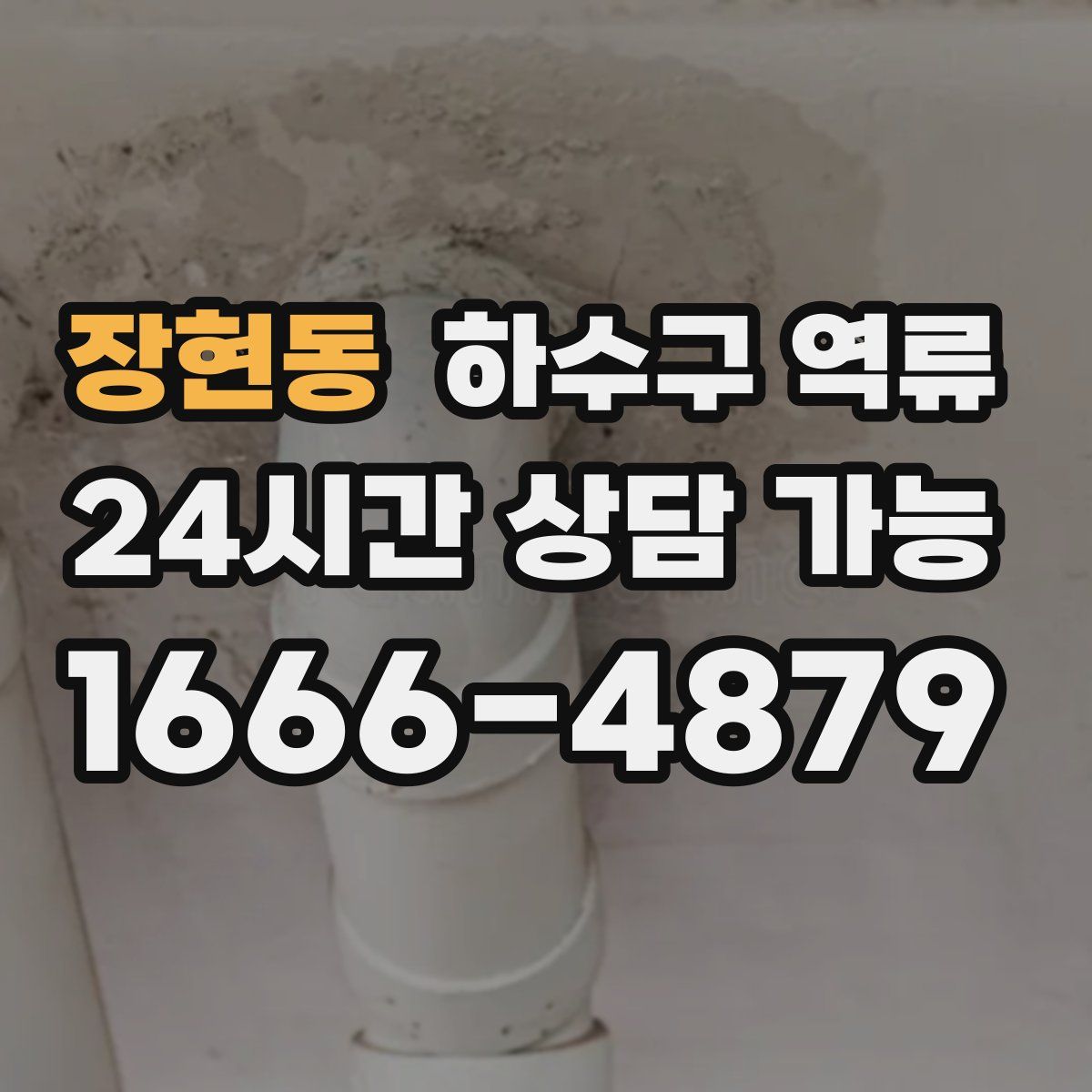 장현동 하수구 역류