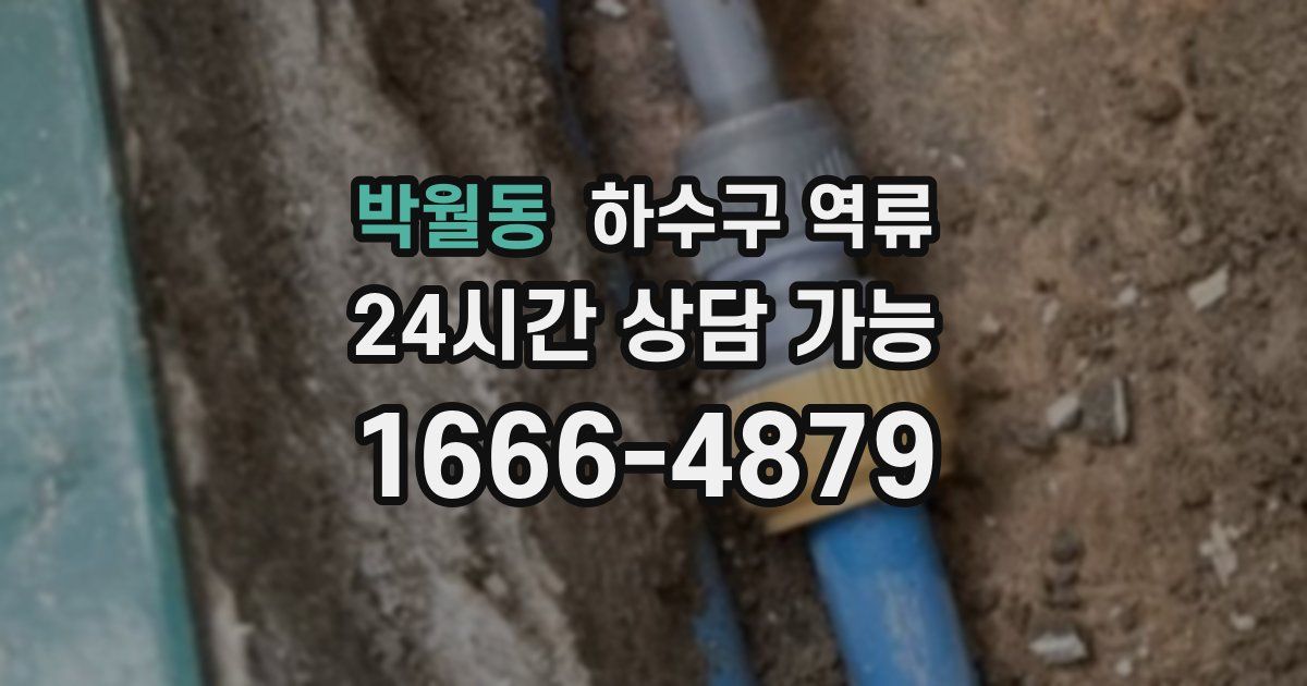 박월동 하수구 역류