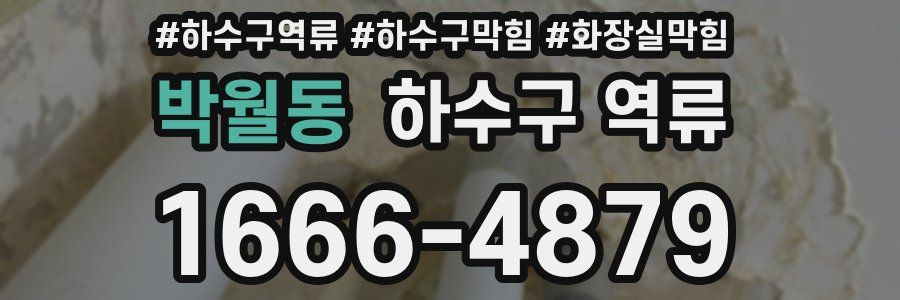 박월동 하수구 역류