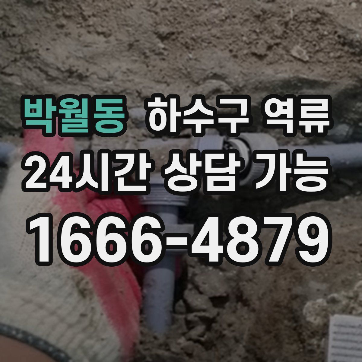 박월동 하수구 역류