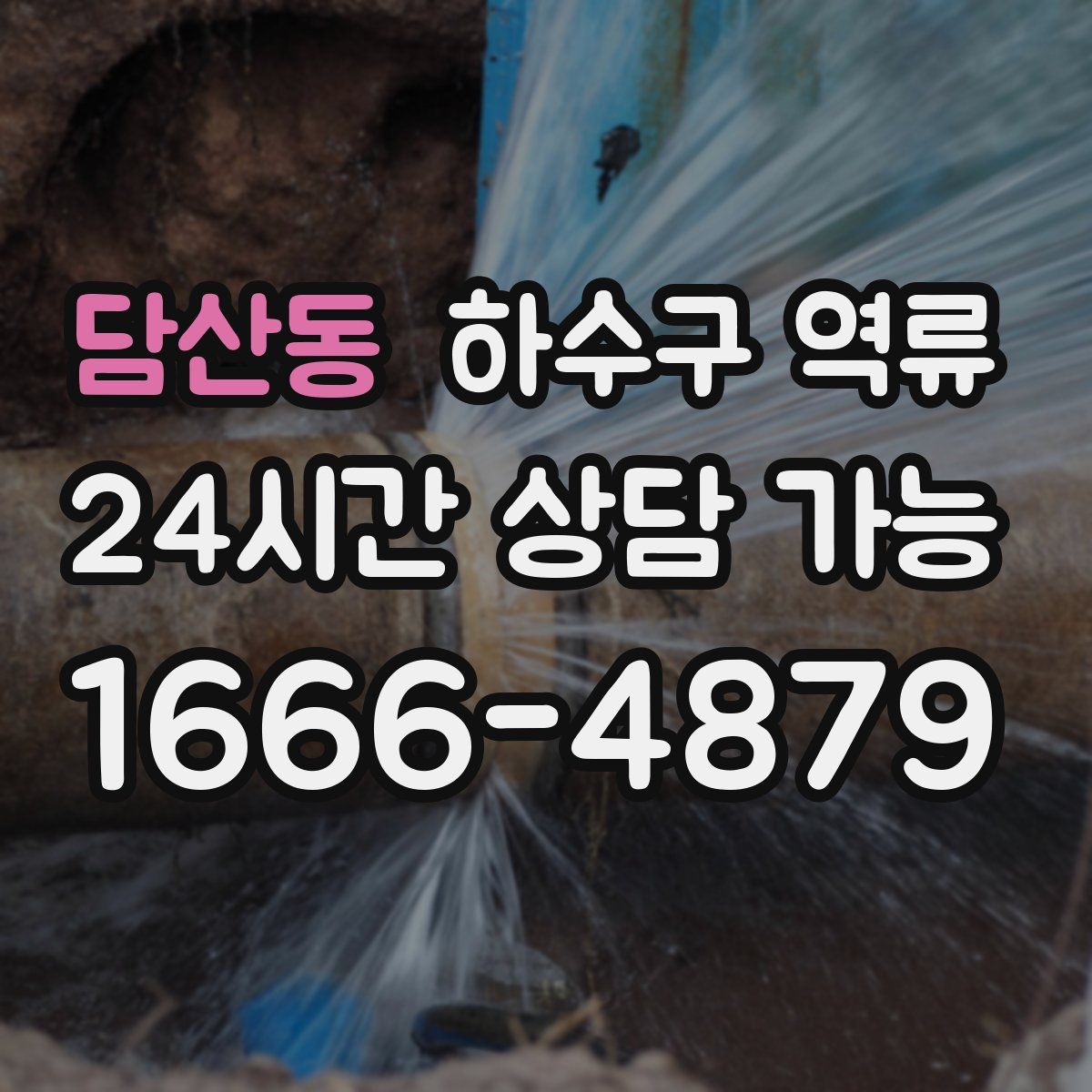 담산동 하수구 역류