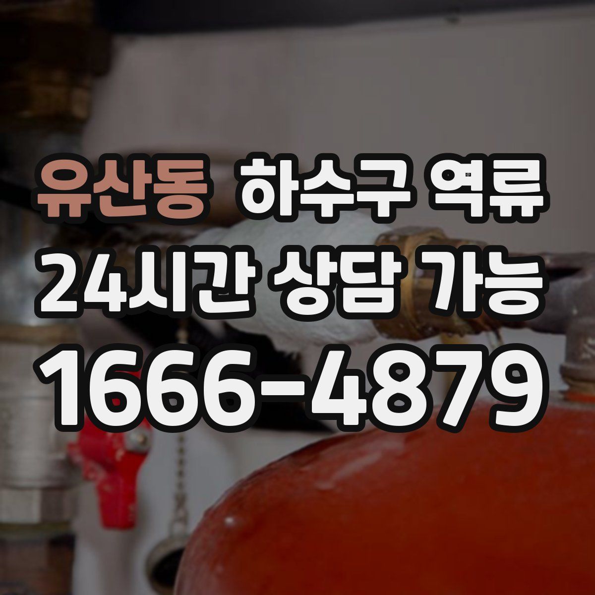 유산동 하수구 역류