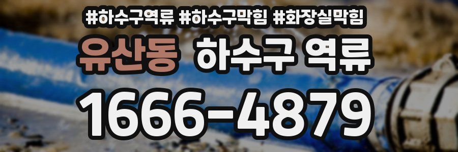유산동 하수구 역류