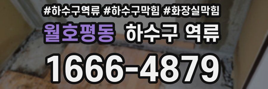 월호평동 하수구 역류