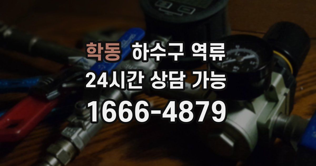 학동 하수구 역류