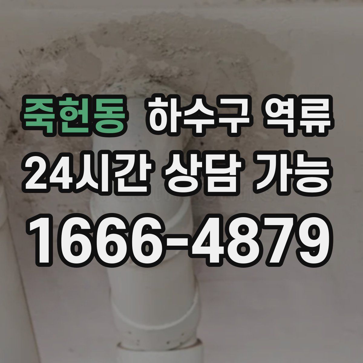 죽헌동 하수구 역류