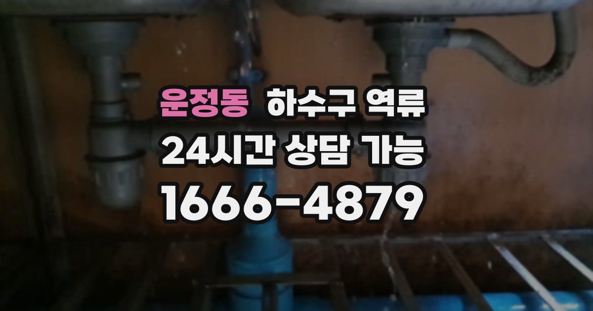 운정동 하수구 역류