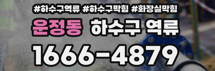 운정동 하수구 역류