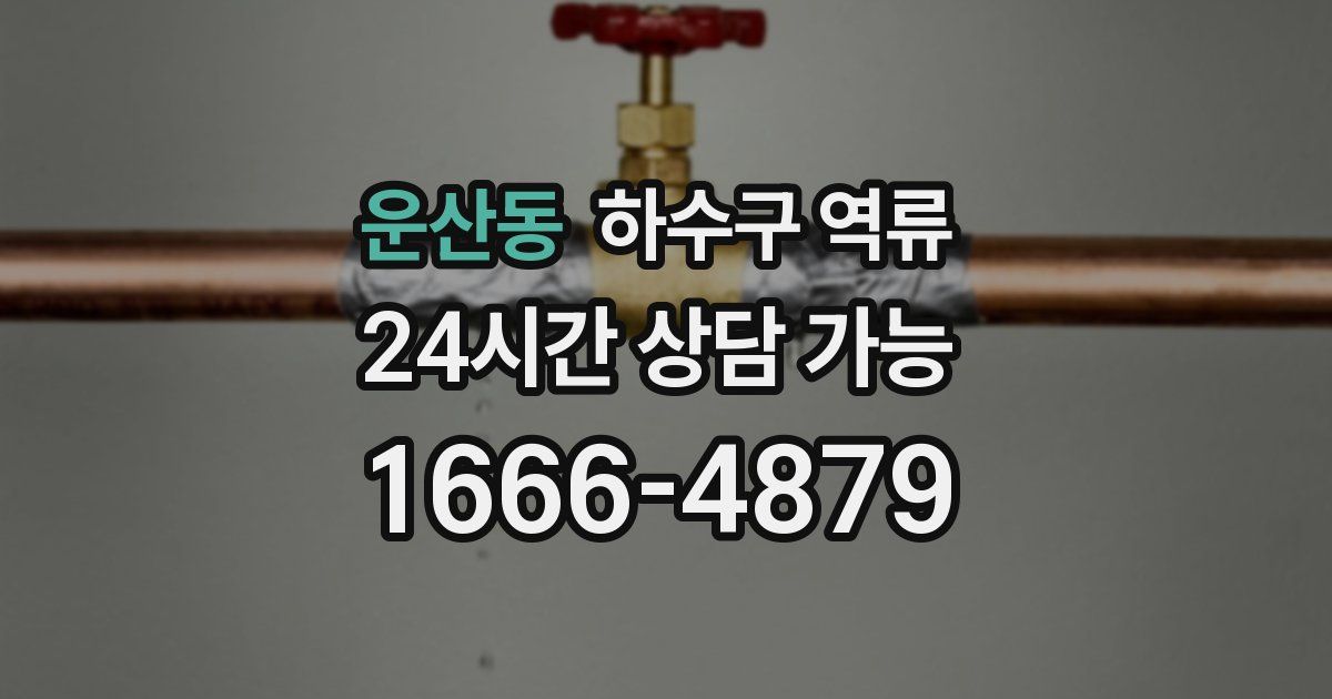 운산동 하수구 역류