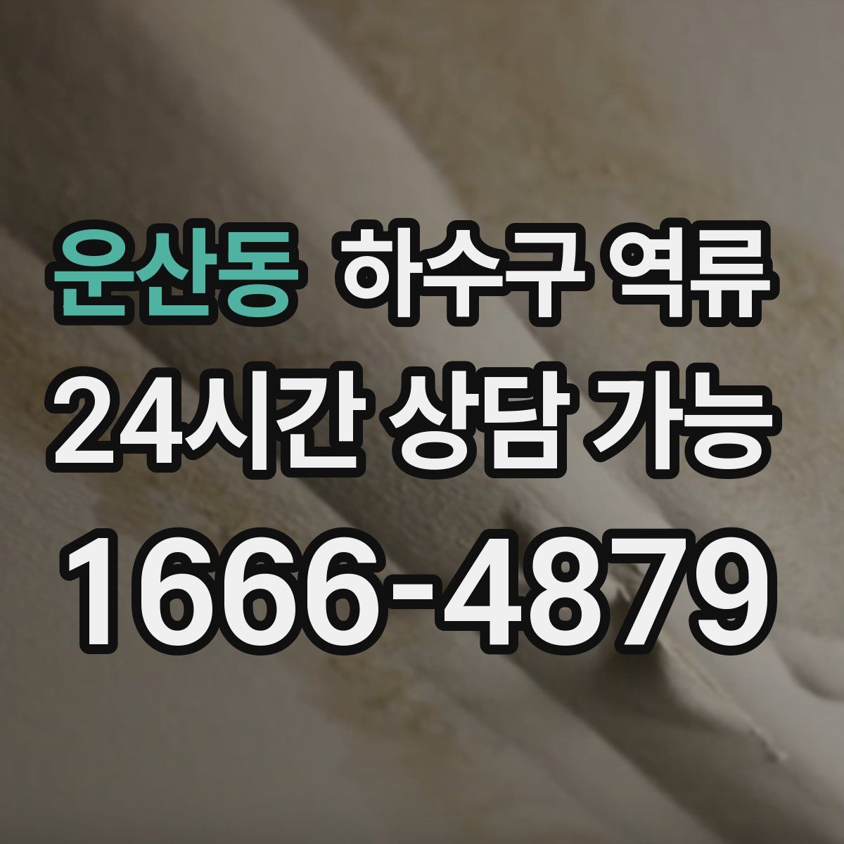 운산동 하수구 역류