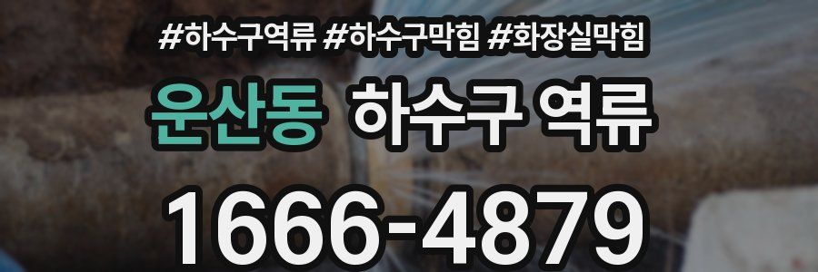 운산동 하수구 역류