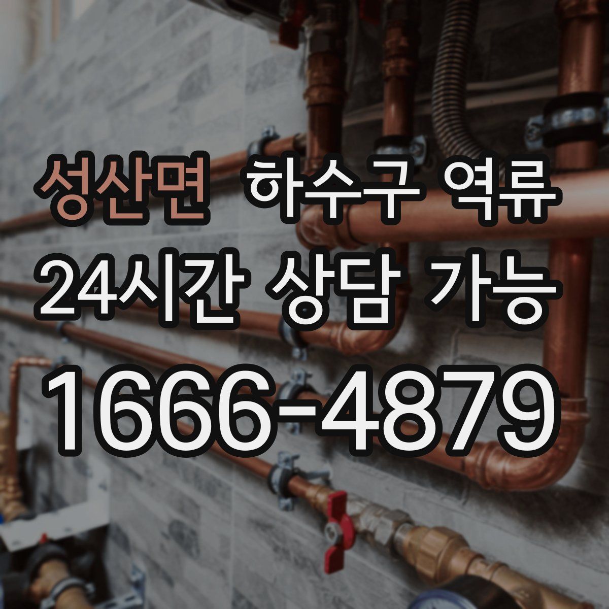 성산면 하수구 역류