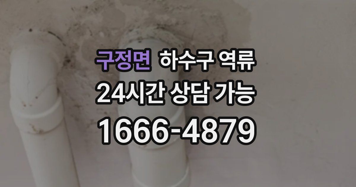 구정면 하수구 역류