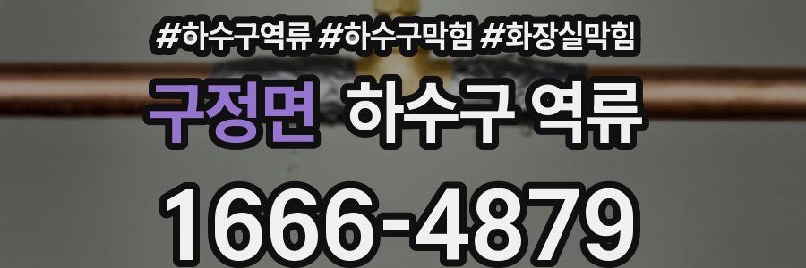 구정면 하수구 역류