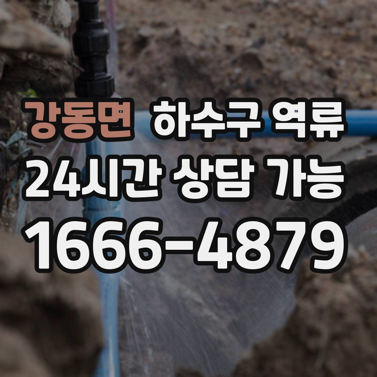 강동면 하수구 역류