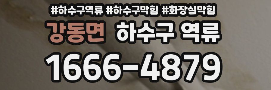 강동면 하수구 역류