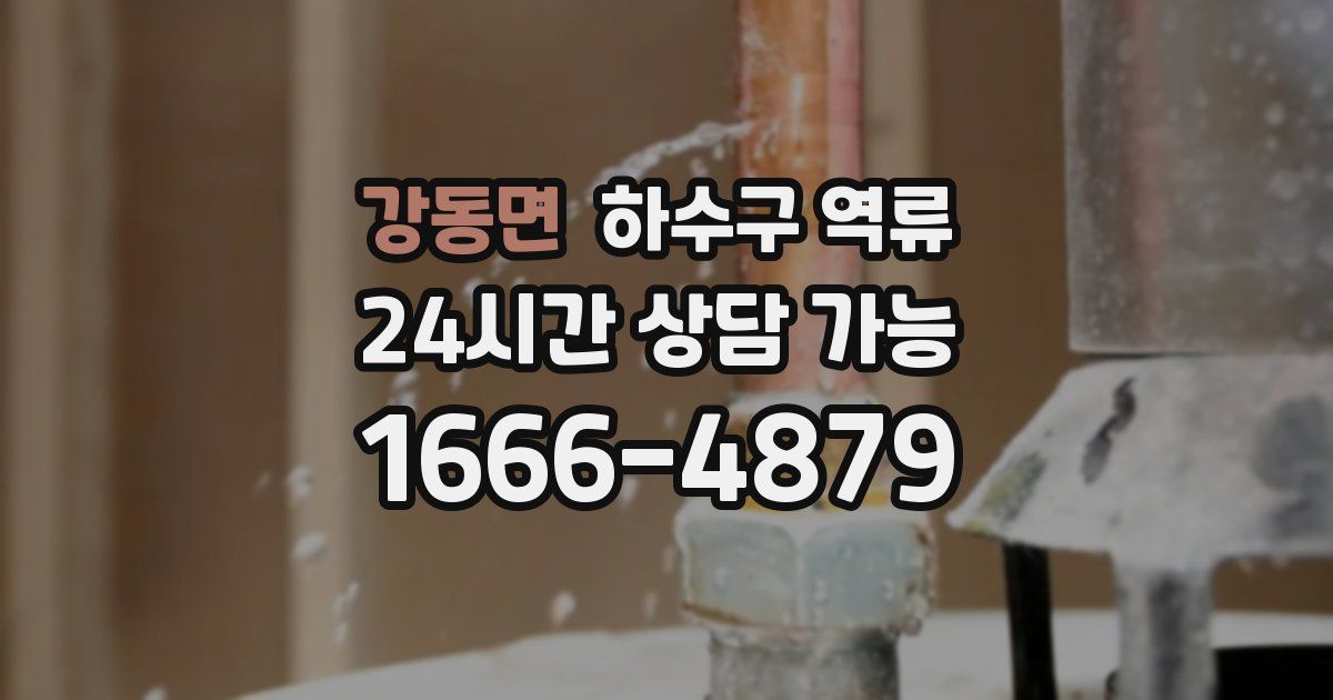 강동면 하수구 역류