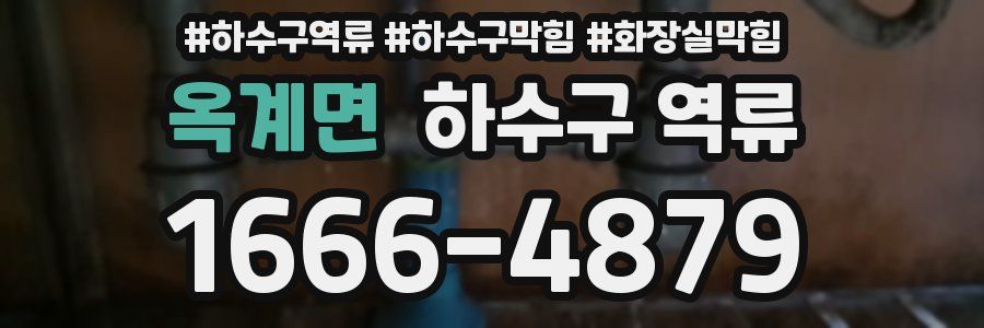 옥계면 하수구 역류