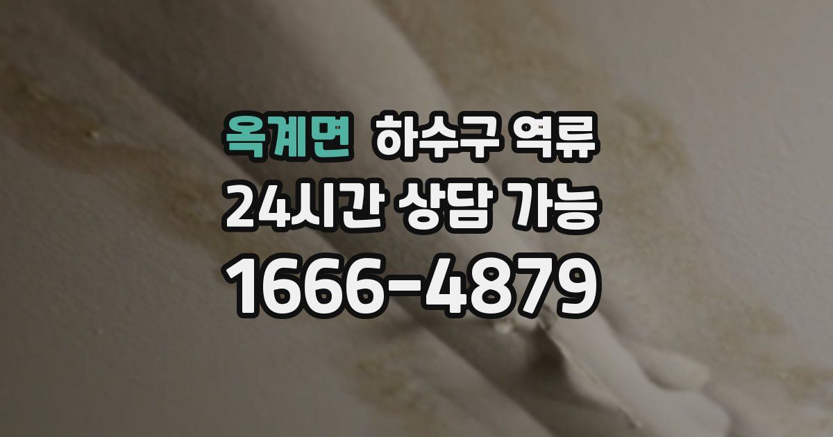 옥계면 하수구 역류