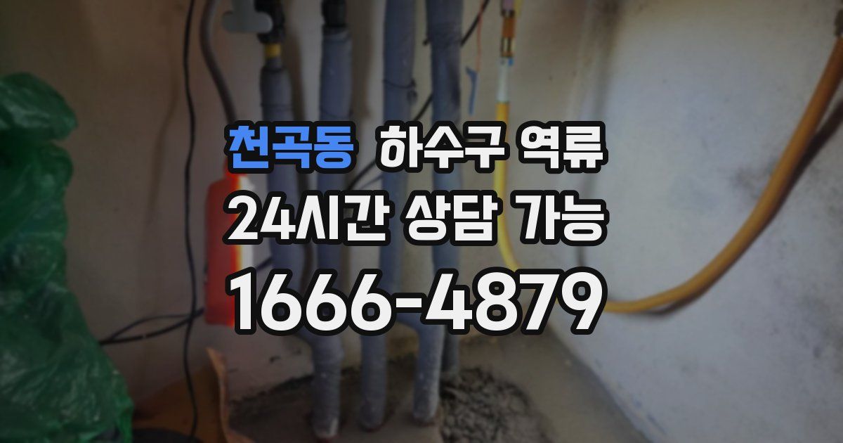 천곡동 하수구 역류