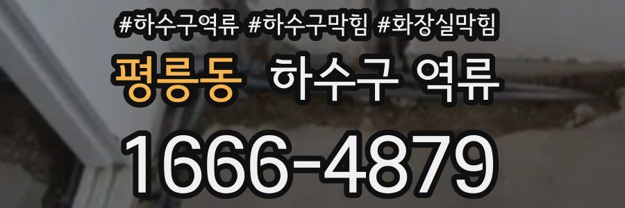 평릉동 하수구 역류