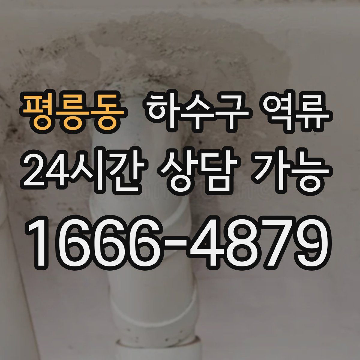 평릉동 하수구 역류