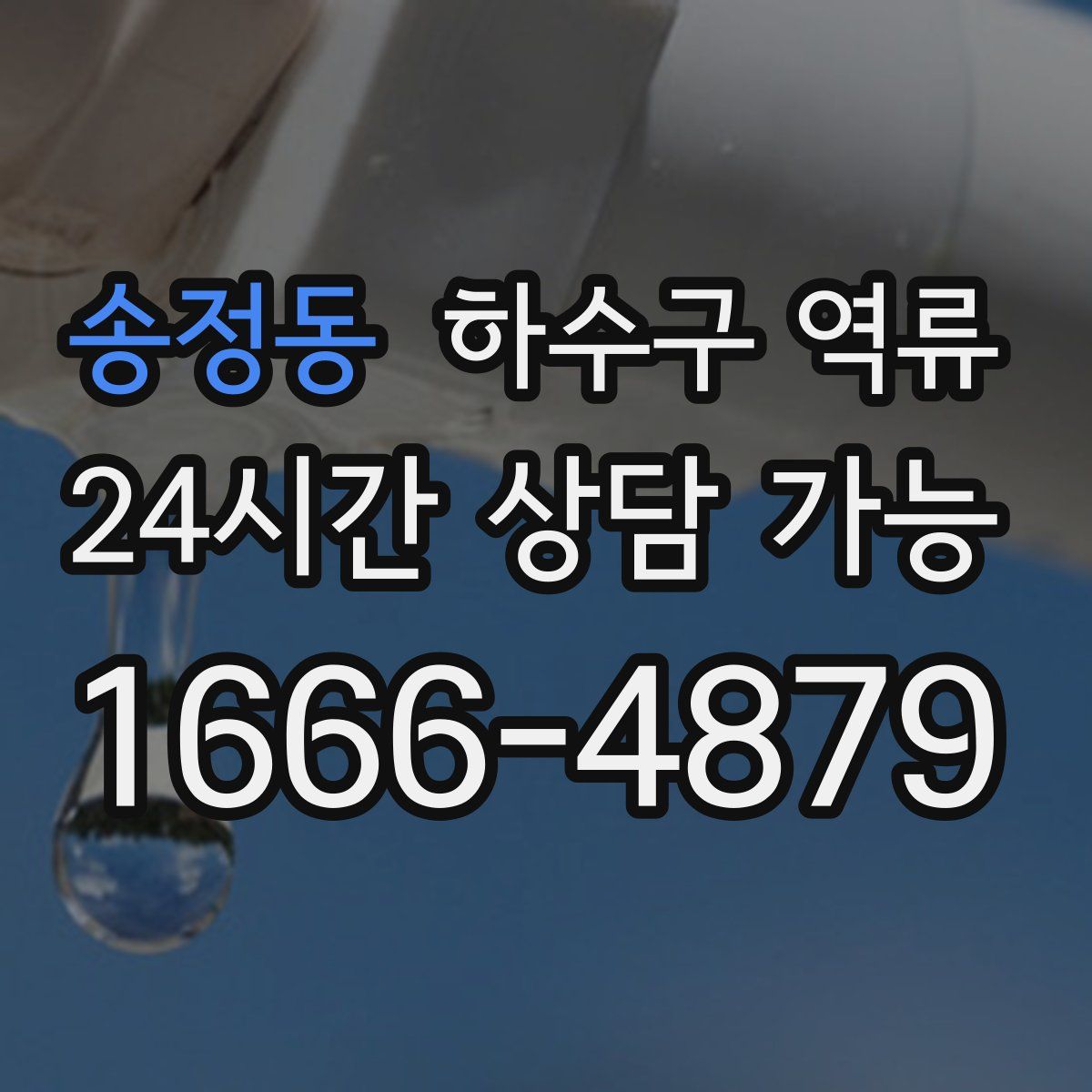 송정동 하수구 역류