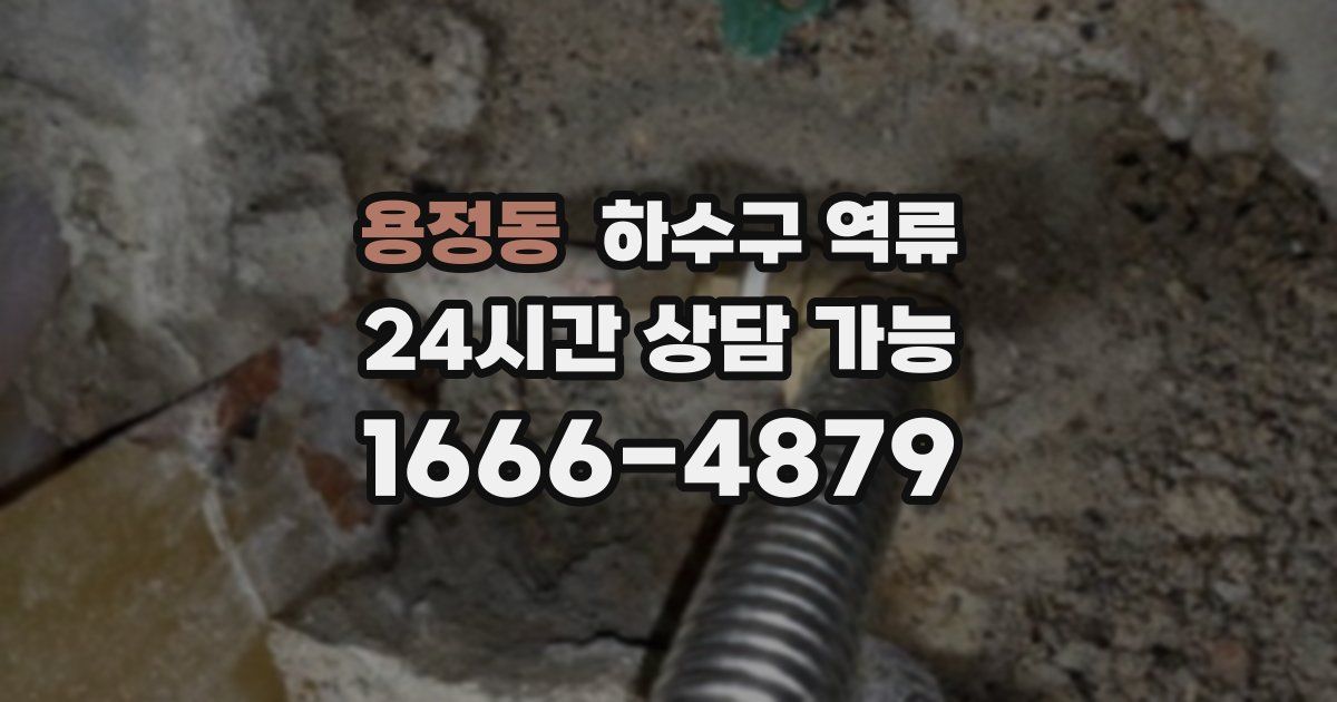 용정동 하수구 역류