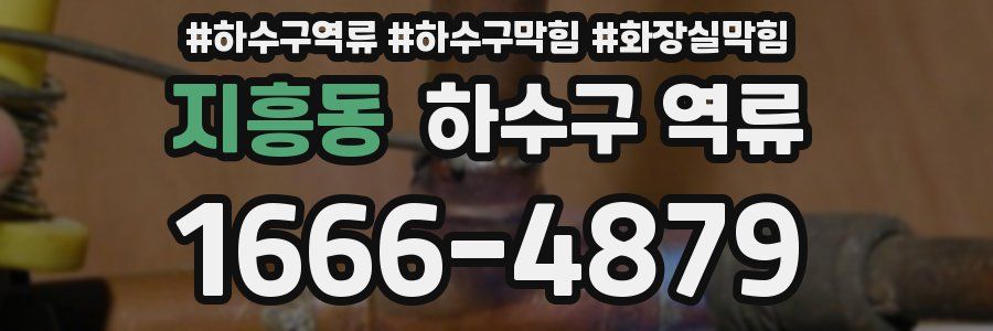 지흥동 하수구 역류