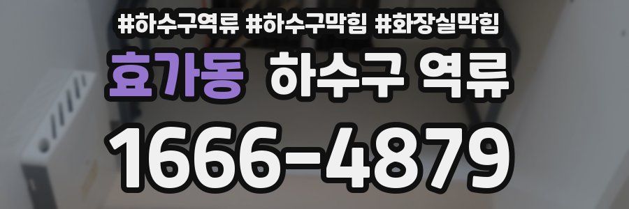효가동 하수구 역류