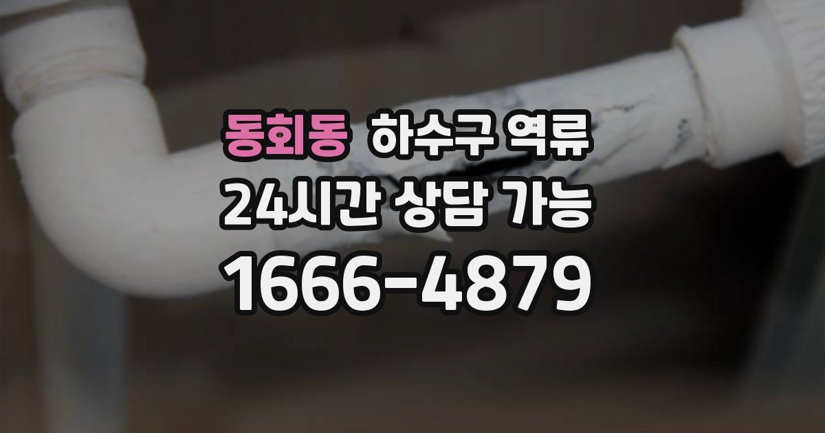 동회동 하수구 역류