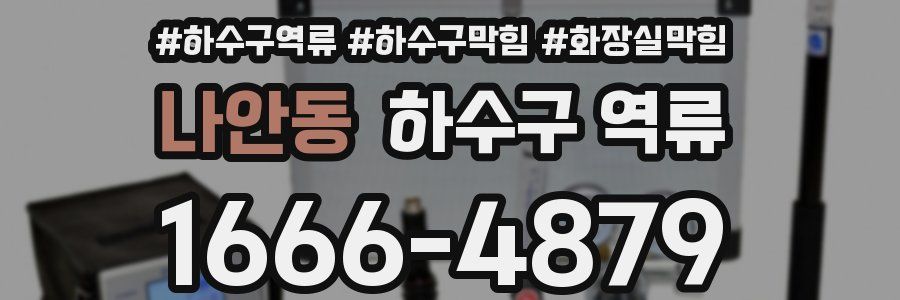 나안동 하수구 역류