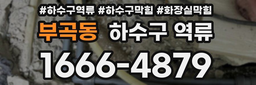 부곡동 하수구 역류